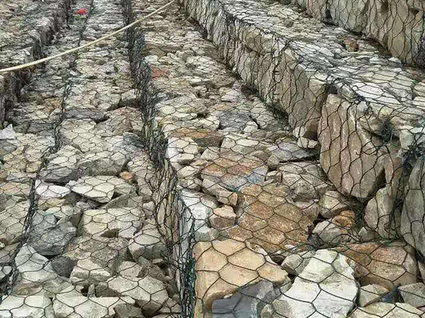 綠濱墊圖片3